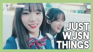 Just WJSN things