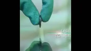 Elleriniz İçin En Sağlıklısı Bahçe Eldiveni