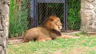 Cameron Park Zoo in Waco  TX