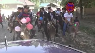 Шахбачаро бо 15 хари гулдор овардан  带着15张花牌的小猫