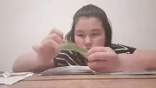 Jansaia Бумажный мир Jansaia/я в Таразе/бумажные сюрпризы /подпишись/скоро пиар