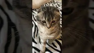 Мой Зайчик❤️