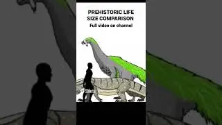 prehistoric life size comparison #shorts #nature #dinosaurs #animals #prehistoric #animation