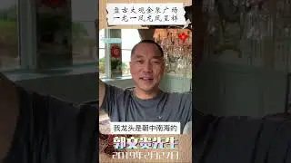 #盘古大观 #金泉广场，一龙一凤 #龙凤呈祥