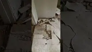 Abandoned house in woods