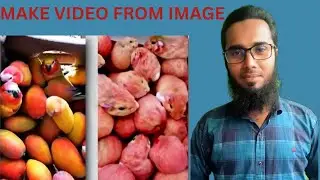 How to Create Videos from Images Using AI | Step-by-Step Guide