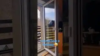Сяська мне в помощь😅а я покурю в сторонке😅 