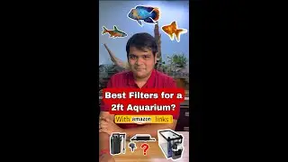 Best Filters for 2ft Aquarium 
