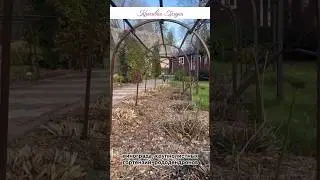 Укрываем розы с дугами от Красивой грядки 