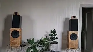 Закрытый ящик 50L. Ноэма, Beyma. Sound test.