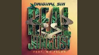 Real Junglist (feat. MC Felon)