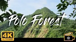 4K Polo Forest : Nature Therapy in 60fps | Amazing Nature (UltraHD) | Gujarat | India