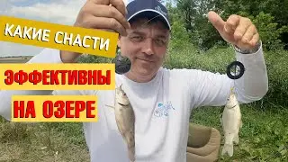 На что клюёт на озере? Снасти для рыбалки.Рыбалка в Одесской области.Рыбалка на озере в Карналиевке