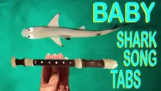 How to Play Baby Shark on the Recorder