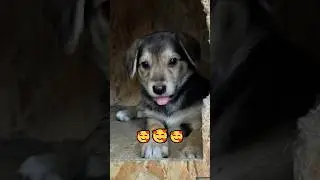 Я не умею их не замечать 😌 