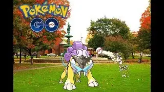DID THIS JUST ACTUALLY HAPPEN!?!? LEGENDARY RAIKOU RAID!!