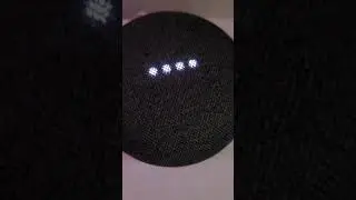 Google Home vs Alexa: Tell me fun facts about Yale University