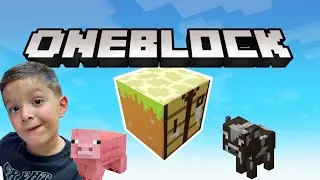 Minecraft - OneBlock Mod