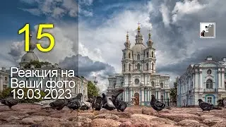 Майк Топтыгин. Реакция на Ваши фото 15