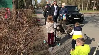Самоизоляция в городе