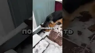 ТОЛЬКО ТАК И ПОНИМАЕТ