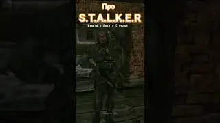 #сталкер #stalkershadowofchernobyl #stalker
