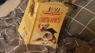 Cat is reading a book . cat vs dogs