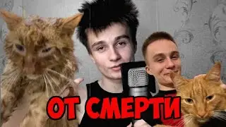 КАК Я СПАСАЛ КОТА