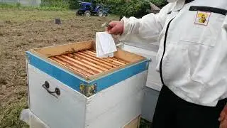 О сушка рамок избегаем от инфекций и воровства.