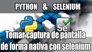 Cap #28 | Curso Python con Selenium | Screenshot Nativo