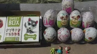 Шоколадные яйца барбоскины и распаковка коллекции собачки пушистики свит бокс