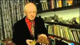 секретные территории №9 НЛО Соседи по Солнцу.