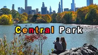 Colors of autumn season, Central Park Walking Tour 2024