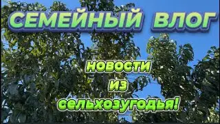 GARDENING WORK)))