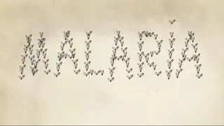 Wat is malaria?