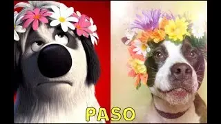 Ferdinand Characters in Real Life 2
