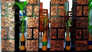 Bottle Craft Using Coir.