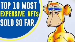 Top 10 Most Expensive NFTs Ever Sold | Expensive NFTs