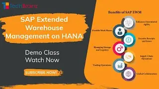 SAP EWM on HANA Demo by TechBrainz