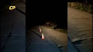В ЖЕЛЕЗНОГОРСКОМ РАЙОНЕ СБИЛИ ПЕШЕХОДА. ГИБДД ИЩЕТ СВИДЕТЕЛЕЙ ДТП
