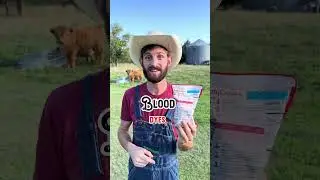 We use 99% of a cow