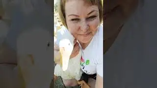 Жизнь в селе. Западная Сибирь.