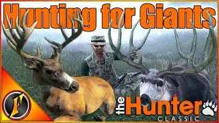Hunting for Giant Bucks on Loggers Point! | theHunter Classic