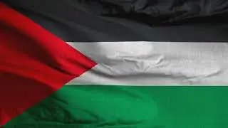 Flag of PALESTINE 🇵🇸 (دولة فلسطين) | 1 Minute Loop | 4k Realistic Flag Animation | VFX LIBRARY