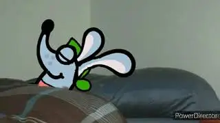 Boj the Bilby as Donald Duck