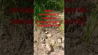 (19 часть) #гномы #тренд #существа #рыцари #тренды