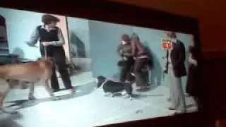 New OopS Tv  (Funny :D )