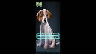 ASMR || I CURE MY HAUNTED 🐕 TO NORMAL