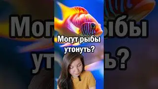 Могут ли рыбы утонуть?