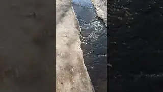 Москва потекла